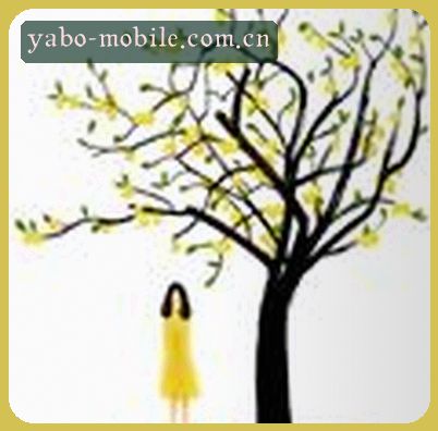 吴婷